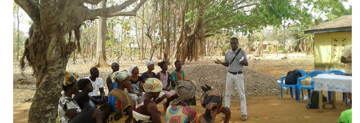 Impact Series: Improving Data Collection Capacity in Non-Technical Organizations